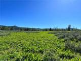 10 Whiffle Tree Trail - Photo 9