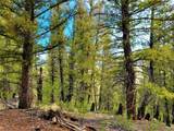 198 Middle Fork Vista - Photo 10