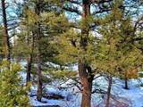 198 Middle Fork Vista - Photo 14