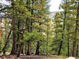 198 Middle Fork Vista - Photo 23