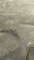 13395 County Road 53 - Photo 3