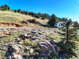 343 Chief Trail - Photo 10