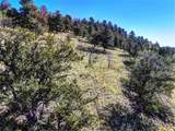 343 Chief Trail - Photo 20