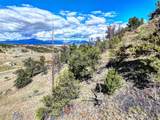 343 Chief Trail - Photo 21