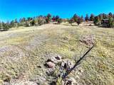 343 Chief Trail - Photo 3