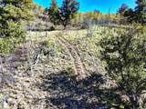 343 Chief Trail - Photo 5