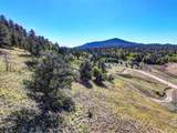 343 Chief Trail - Photo 6