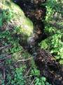 433 97 Circle - Photo 46
