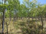 180 Quarter Horse Road - Photo 43