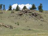 3433 Dog Chief Trail - Photo 10
