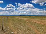 TBD Fourmile Creek Road - Photo 15