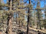 1333 Middle Fork - Photo 12