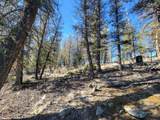 1333 Middle Fork - Photo 8