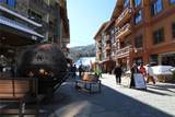 172 Copper Circle - Photo 19