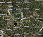 2203 Lakeside Drive - Photo 11