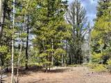 2203 Lakeside Drive - Photo 38