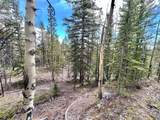 2203 Lakeside Drive - Photo 41