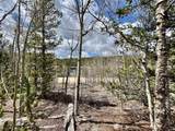 2203 Lakeside Drive - Photo 47