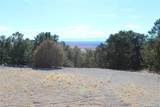 2698-2702 Holiday Way - Photo 2