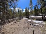 180 Mt Massive Road - Photo 11
