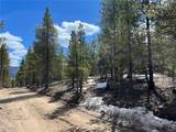 180 Mt Massive Road - Photo 8