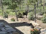 8671 Highway 125 - Photo 46
