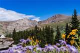 2152 Bighorn Rd - Photo 31