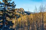 2544 Longbow Drive - Photo 32