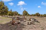 76 County Road 60B - Photo 44