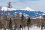 91791 Ryan Gulch Road - Photo 30