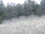 8494 Chickasaw Road - Photo 8