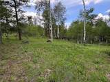 21095 Stampede Way - Photo 2