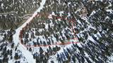 30110 Princeton - Photo 9