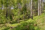 TBD Silver Fox Trail - Photo 4