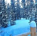 228 Gold Trail - Photo 36