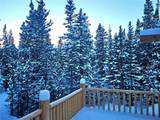 228 Gold Trail - Photo 37