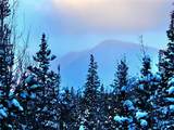 228 Gold Trail - Photo 39