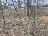 499 Kiowa Street - Photo 24