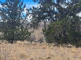 499 Kiowa Street - Photo 5