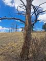 000 Kiowa Street - Photo 23