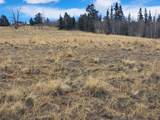 000 Kiowa Street - Photo 24