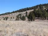 2053 Badger Creek Road - Photo 9