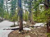 48 Snowshoe Place - Photo 13