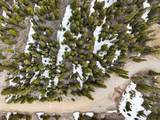 48 Snowshoe Place - Photo 20
