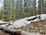 48 Snowshoe Place - Photo 9