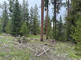 33435 Filly Trail - Photo 4
