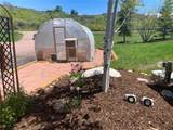 44025 County Road 44 - Photo 36