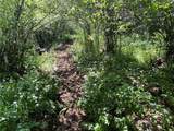 44025 County Road 44 - Photo 38