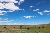 TBD County Road 10 - Photo 8