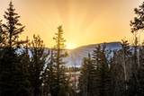 420 Shetland Circle - Photo 44